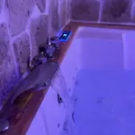 Cocon Detente & Jacuzzi *